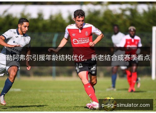 勒阿弗尔引援年龄结构优化,新老结合成赛季看点 勒阿弗尔引援年龄结构优化,新老结合成赛季看点